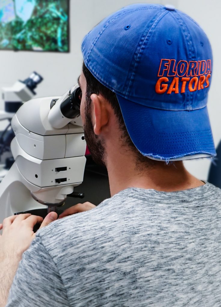 Picture of student using microscope in a lab