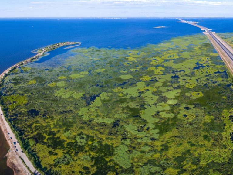 Human Activities Create Corridors of Change in Aquatic Zones