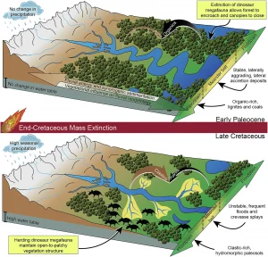 When dinosaurs vanished, forests flourished and rivers calmed down, new study finds