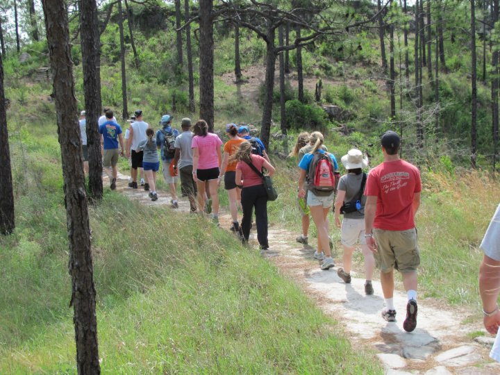 Picture of students walking 